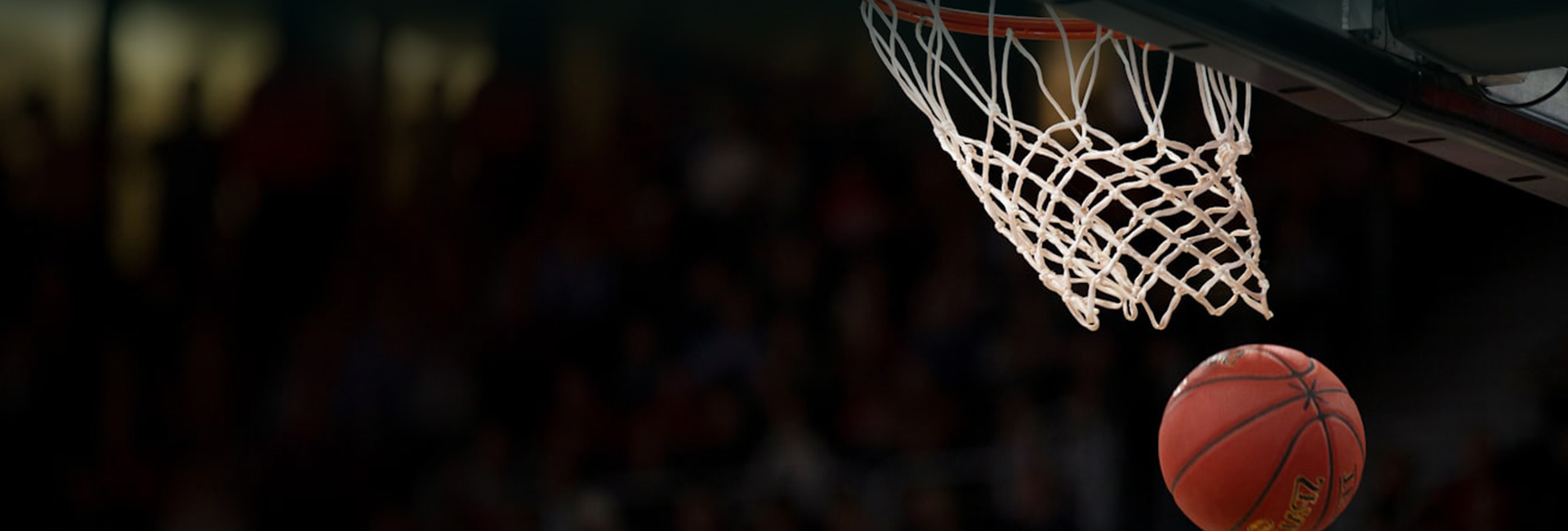 Kontaktieren Sie uns