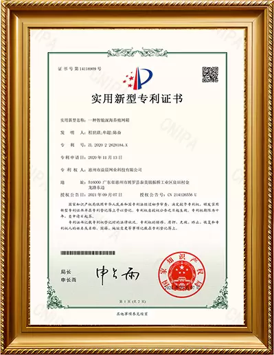 Gebrauchsmusterpatentzertifikat